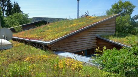 Begrüntes Flachdach mit Pflanzen für bessere Wärmedämmung und Regenwasserspeicherung